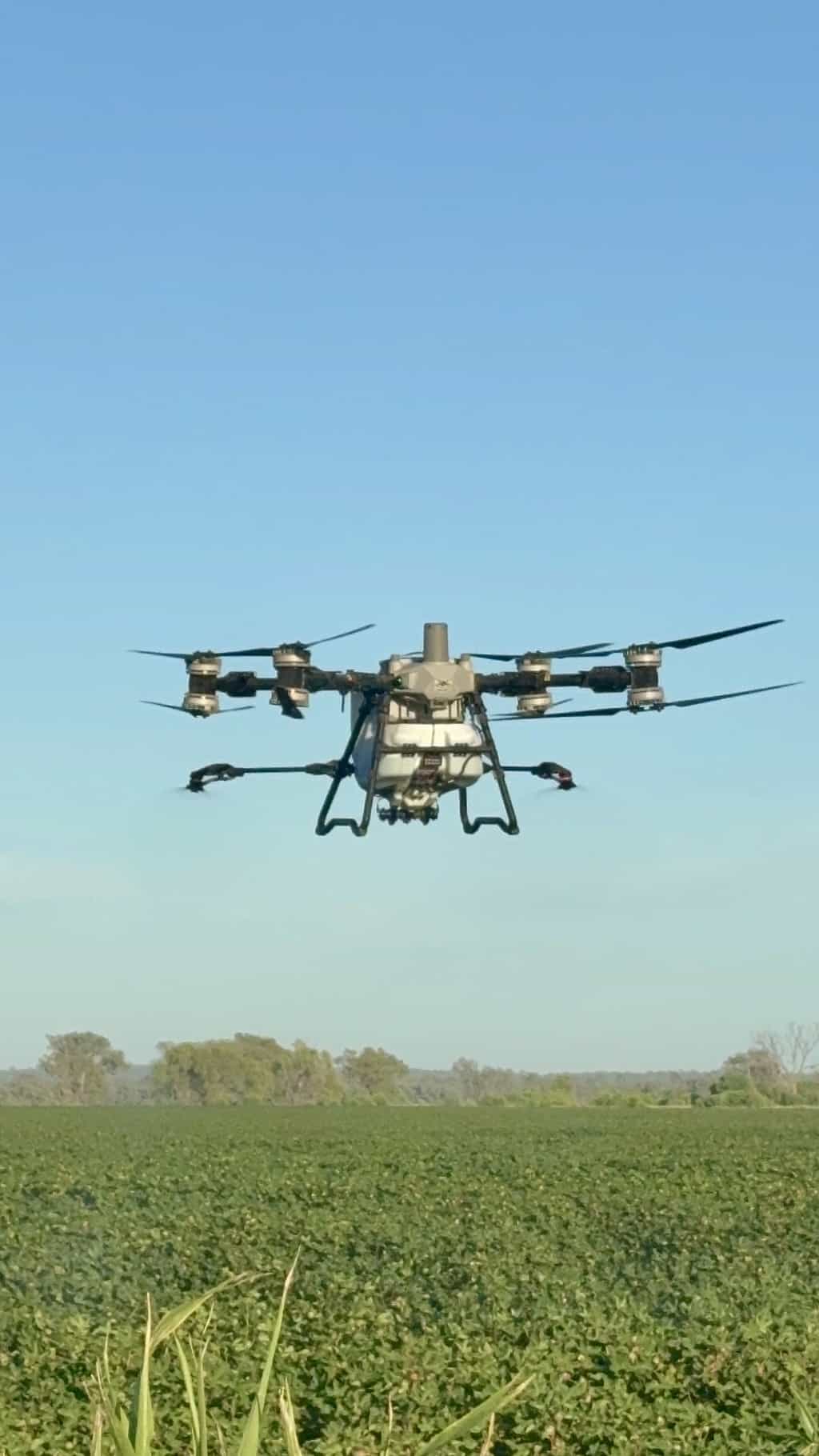 Hexacopter drone with six rotors hovering above a green crop field under a clear blue sky in a rural landscape