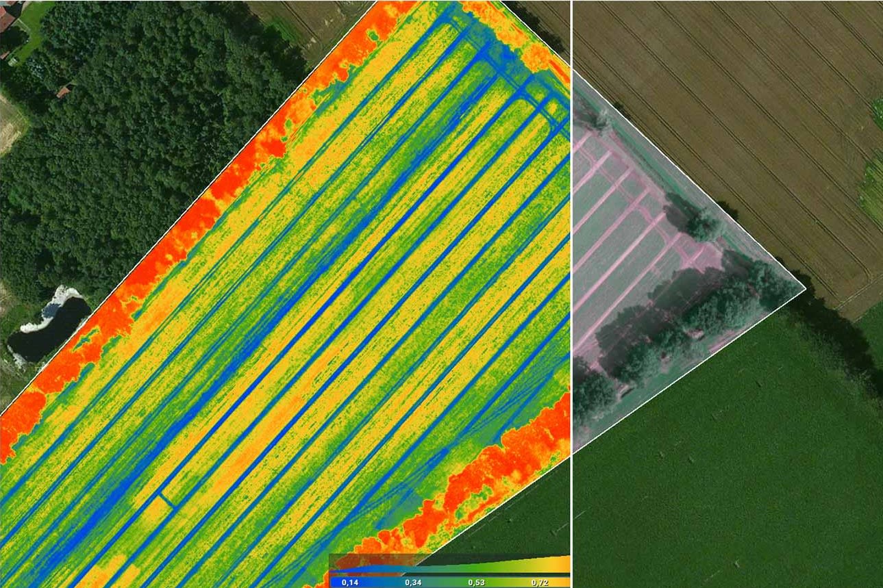 Aerial view of farmland with a long, color-coded vegetation index map across the field; blue to red indicates vegetation health, red edges mark stressed margins.