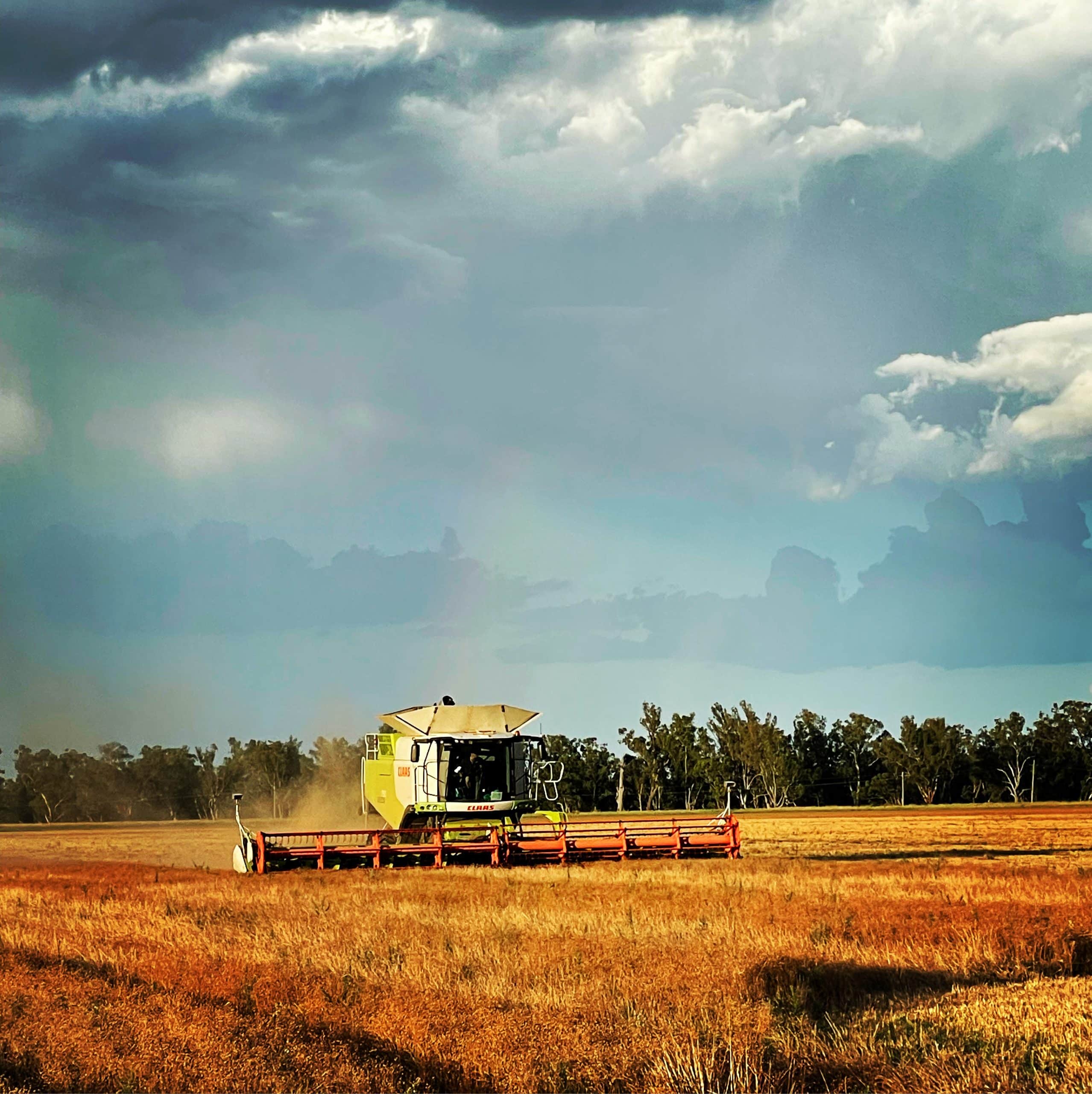 14255792-6C95-417F-B766-CE9F6801A558