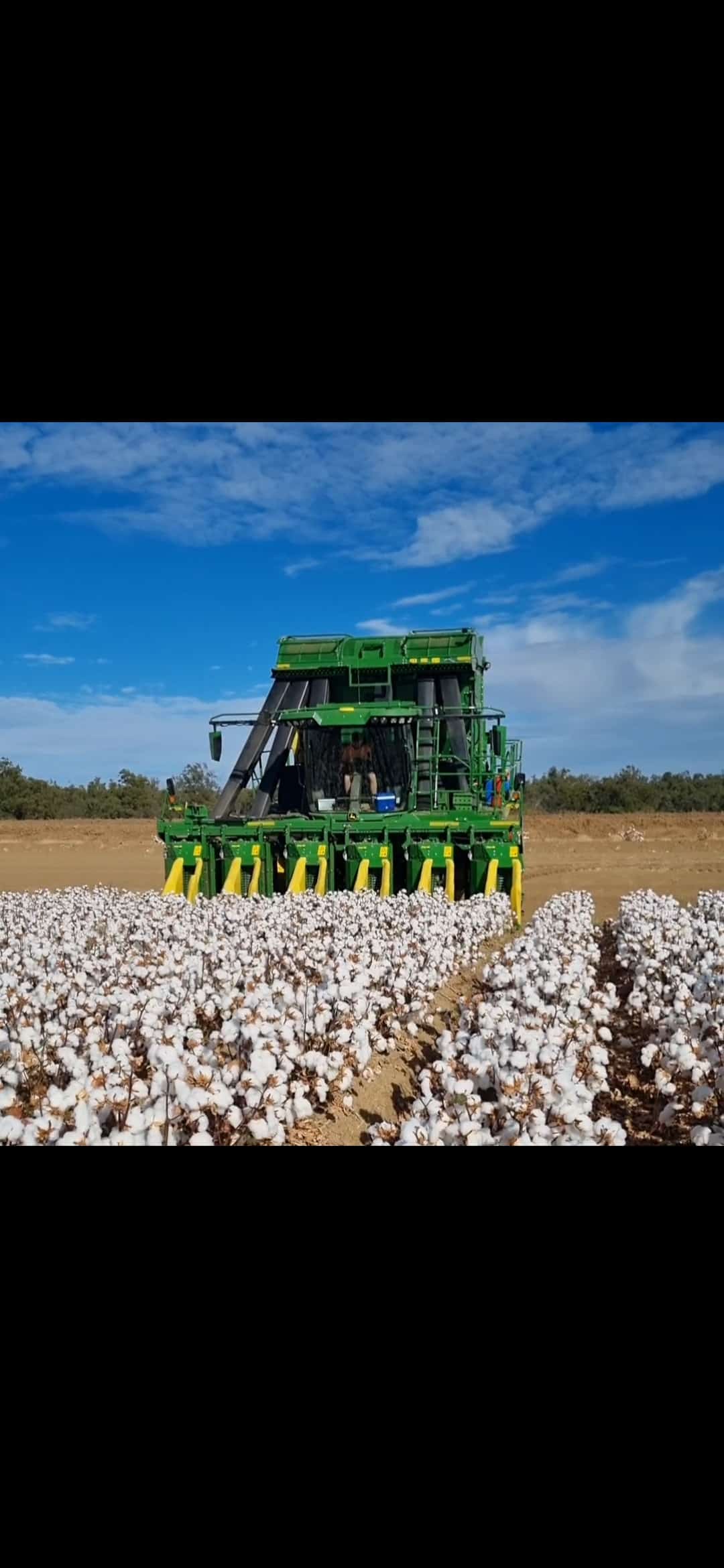 Screenshot_20260128_173905_Gallery