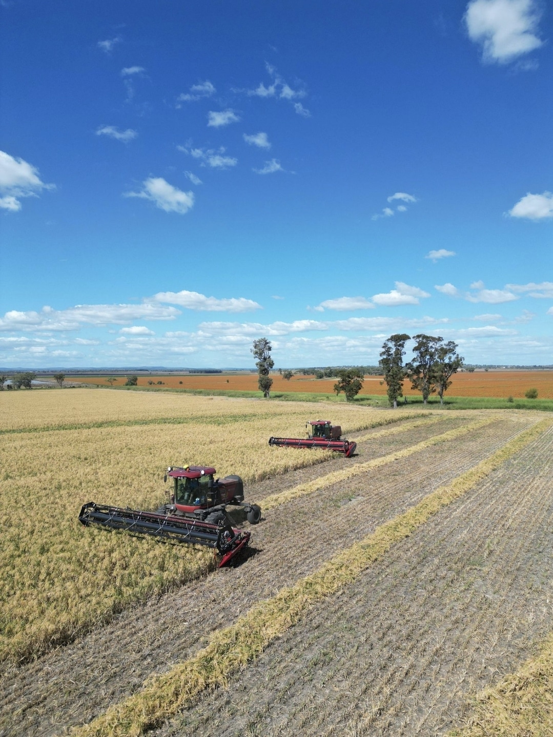 Screenshot_20250729_194818_Messenger