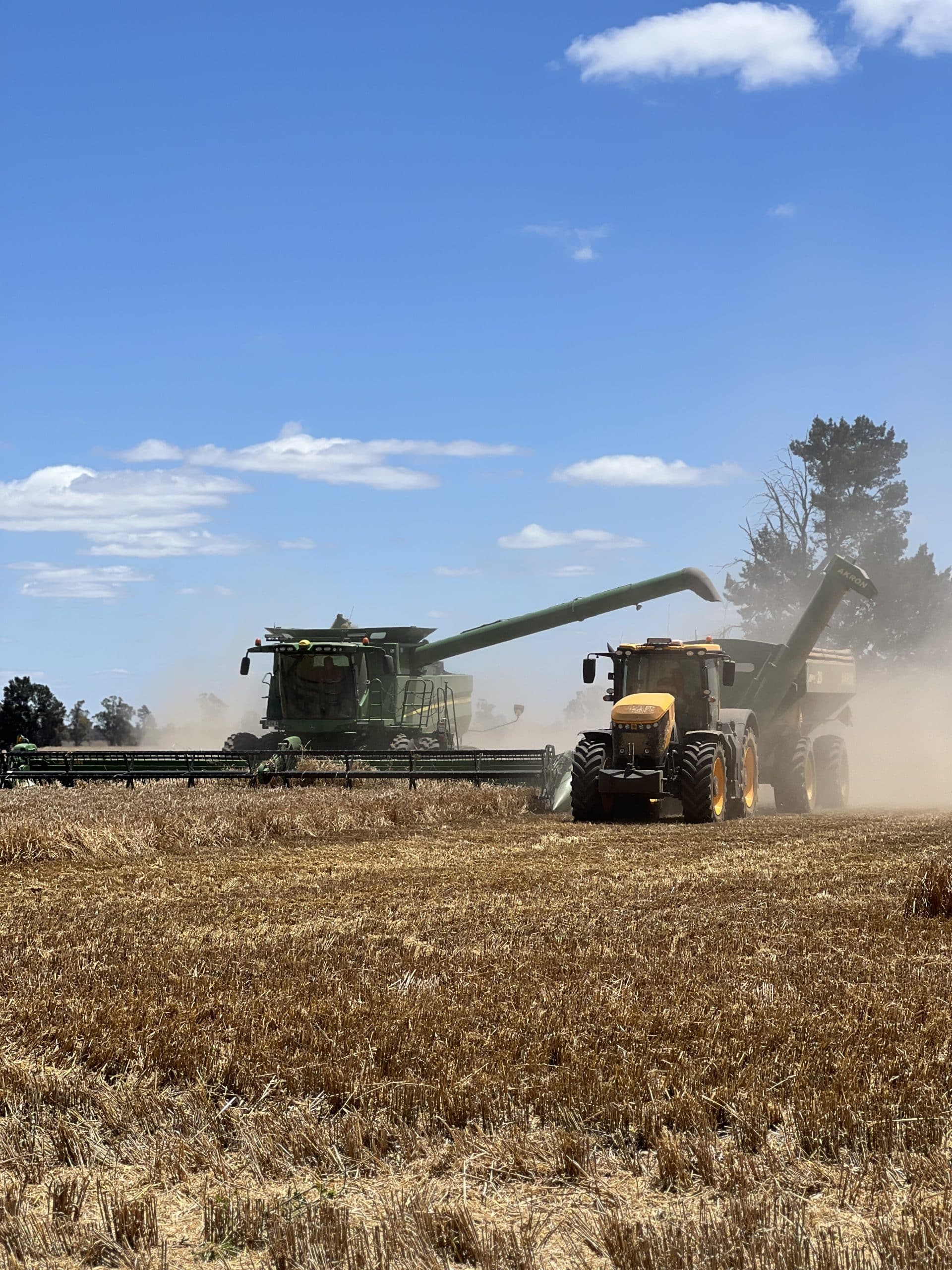 69129671959__A7B0C92D-4E53-4FA4-B75E-DFD0628594FA.fullsizerender-1