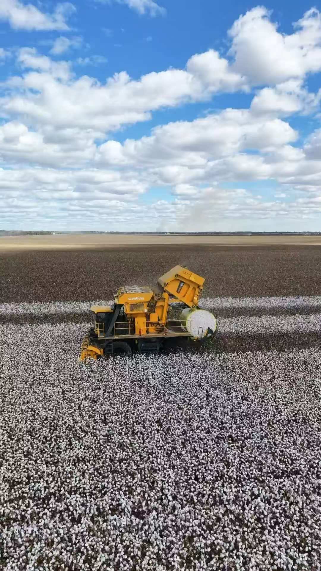 Yellow cotton-harvesting machine in a vast cotton field under a blue sky with fluffy clouds.