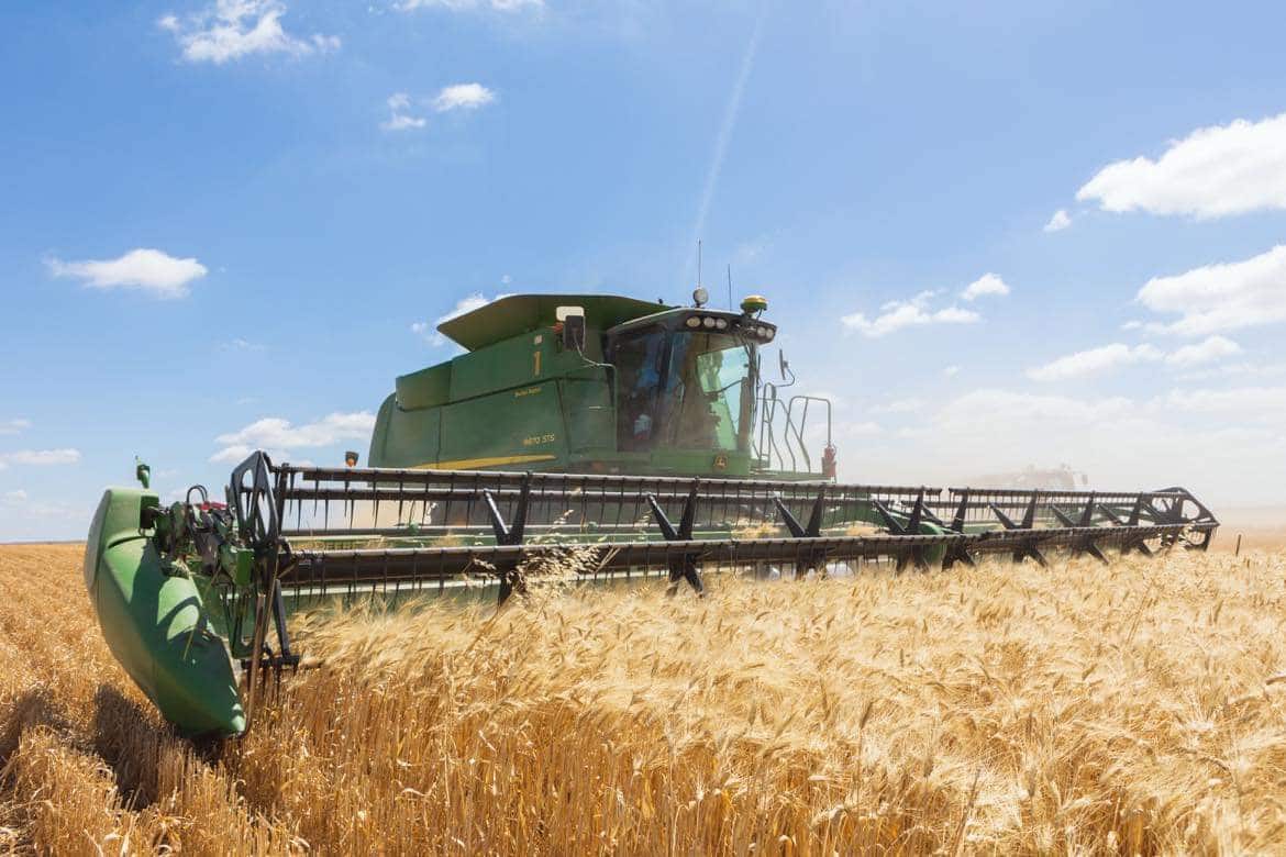 A green combine harvester works through a golden wheat field under a bright blue sky, harvesting grain.