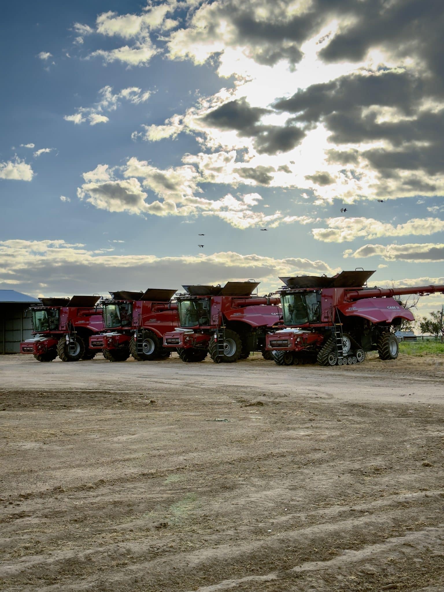 Row of red agricultural harvesters parked on a dirt lot under a partly cloudy sky.
