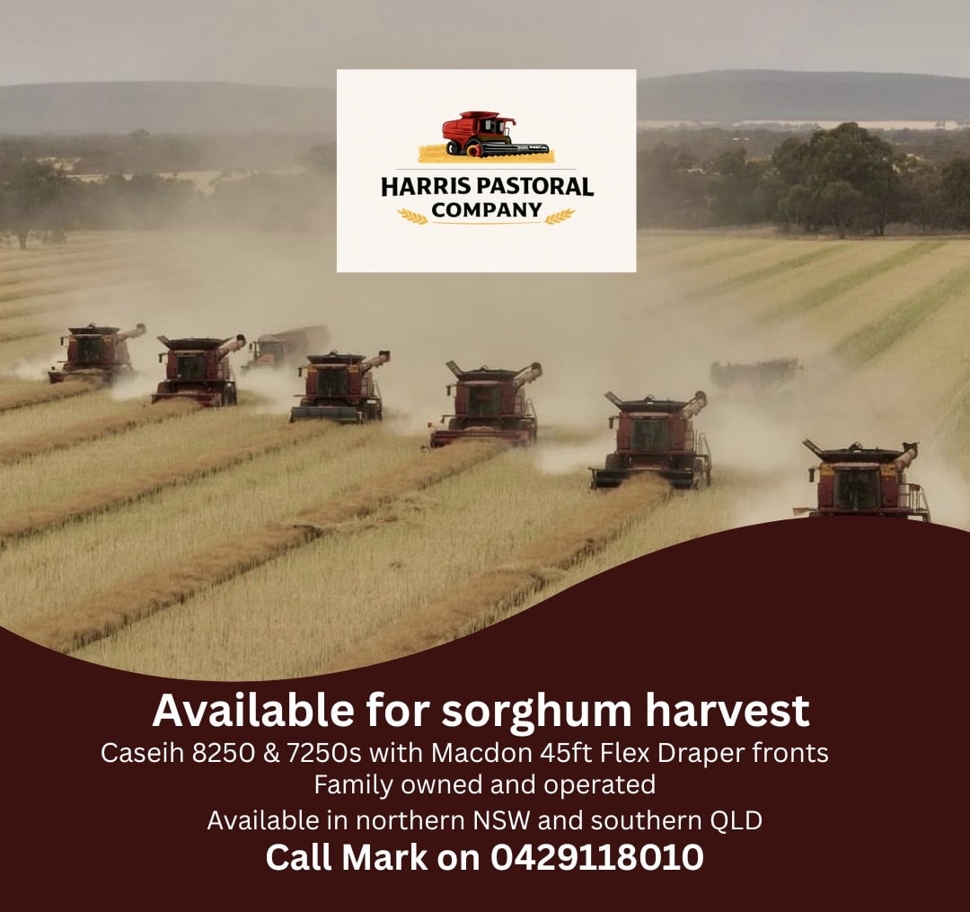 Available-for-sorghum-harvest