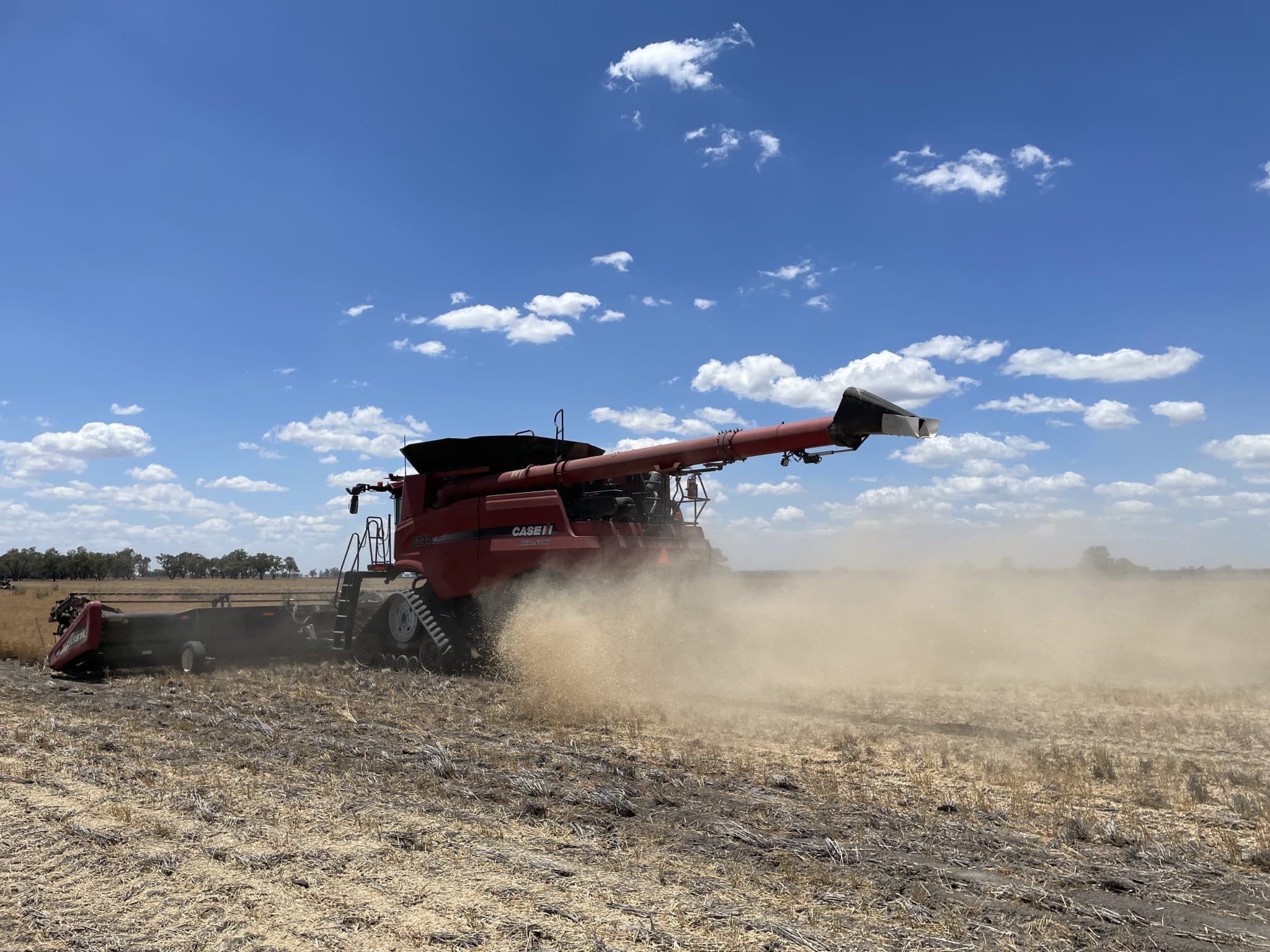 Red Case IH combine harvester in operation, kicking up dust across a dry harvested field under a bright blue sky.